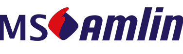MS Amlin